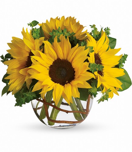 Sunny Sunflowers from Rees Flowers & Gifts in Gahanna, OH